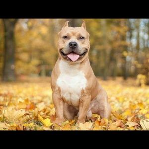 Meet your Posher, Tara