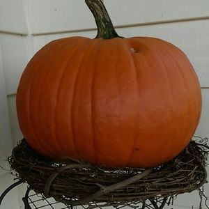 Meet your Posher, Lee