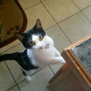 Meet your Posher, Lisa