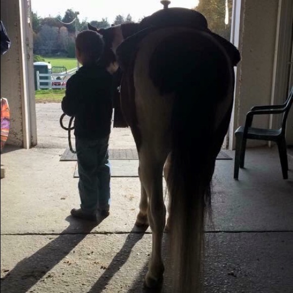 Meet your Posher, Shelby - Picture 3 of 3