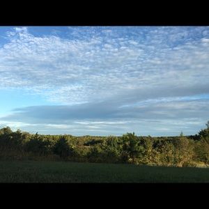 Meet your Posher, Tori