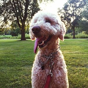 Meet your Posher, Eva