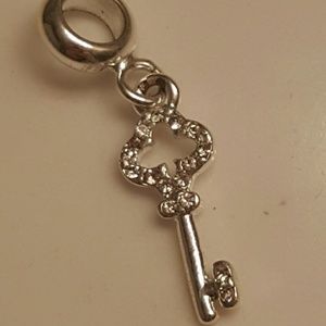 pandora  charm