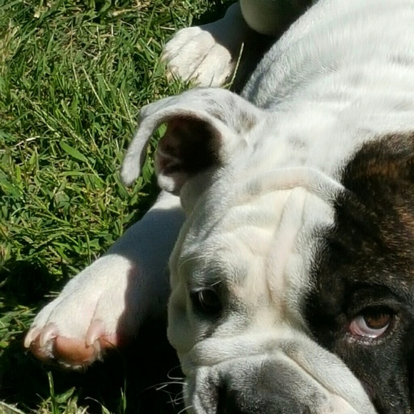 Meet your Posher, Shawn - Picture 1 of 1