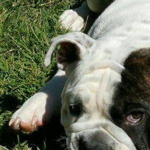 Meet your Posher, Shawn