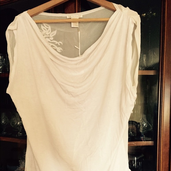 Gold hawk top
