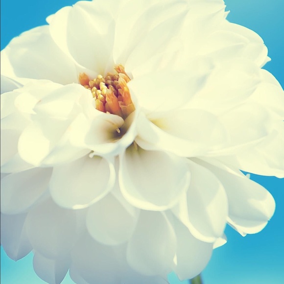 Meet your Posher, Maryam