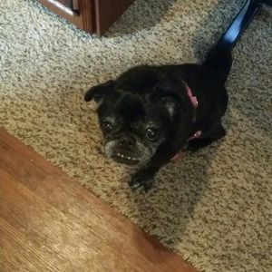 Meet your Posher, Lindsay