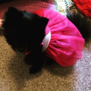 Meet your Posher, Amy