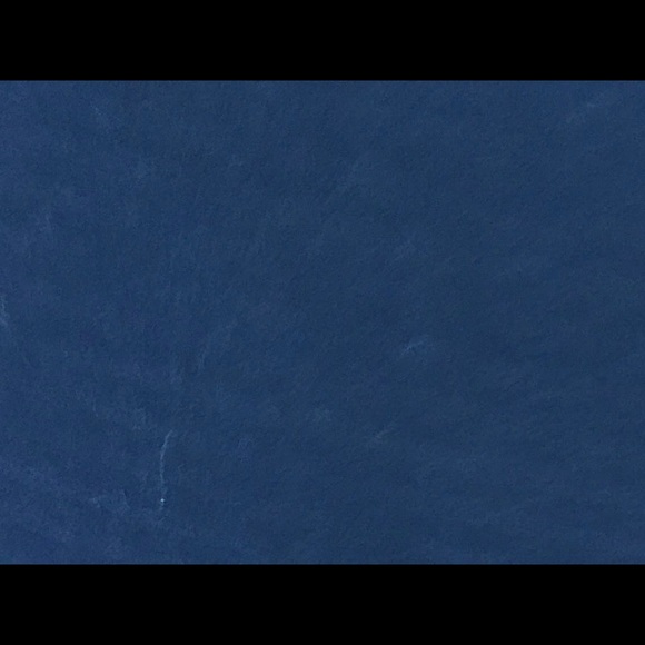 Meet your Posher, Shamoneece