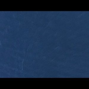 Meet your Posher, Shamoneece