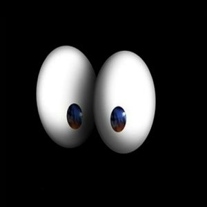 Meet your Posher, Ray