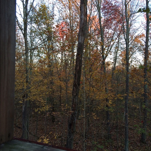 Meet your Posher, Daphne