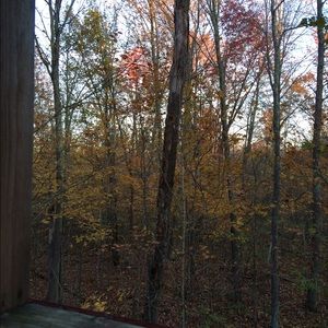 Meet your Posher, Daphne