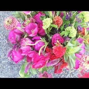 Meet your Posher, Marcy