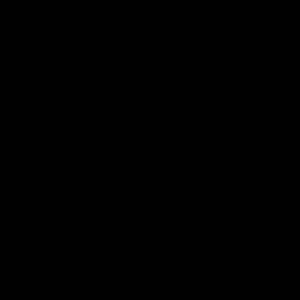 Meet your Posher, Simone