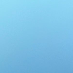 Meet your Posher, Carlena