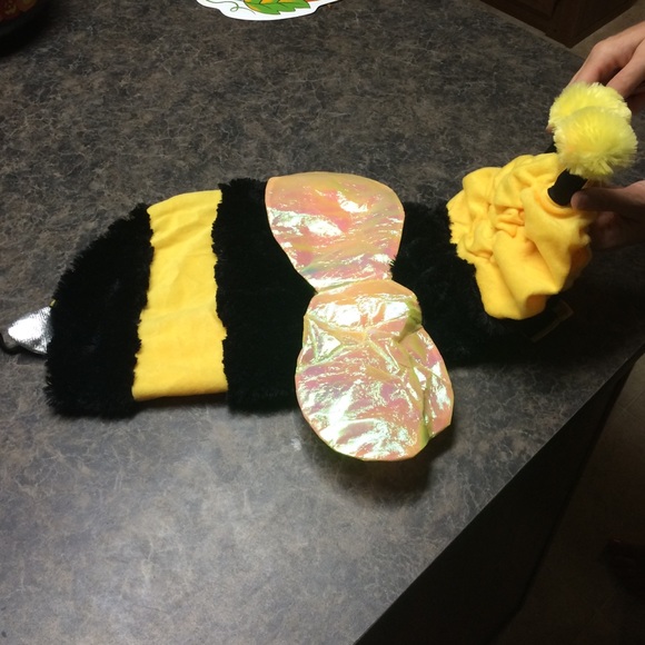 bumble bee dog costume!🐝