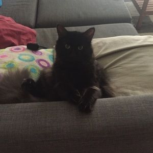 Meet your Posher, Ashley