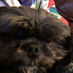 Meet your Posher, Mary-christine