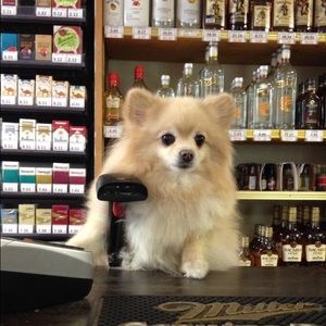 Meet your Posher, Aime