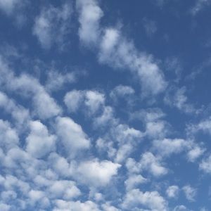 Meet your Posher, Ella