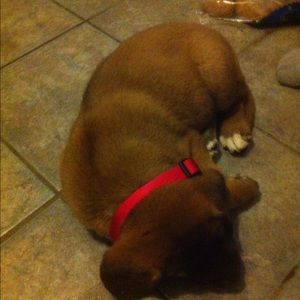 Meet your Posher, Randal