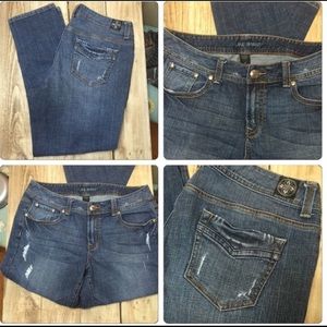 Great Plus Size Jeans!!!