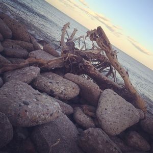 Meet your Posher, Garrett