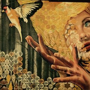 Meet your Posher, Tammy