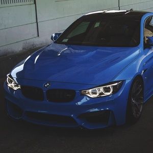 Meet your Posher, Antonio