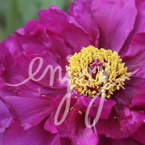 ❤️bundle for khehman