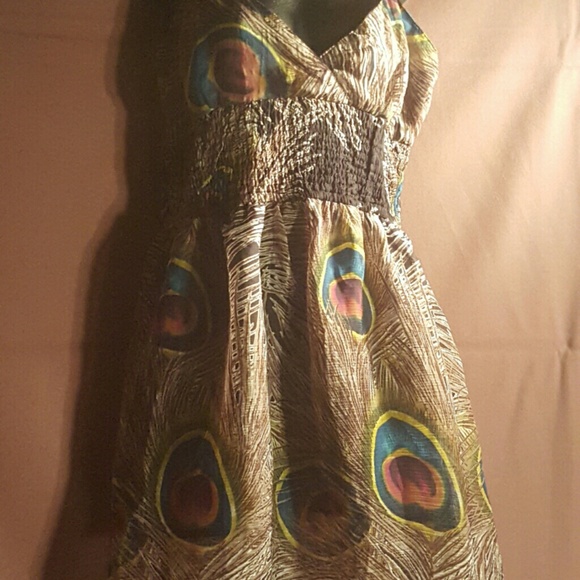 Dresses & Skirts - Peacock sheer with lining above knee dress