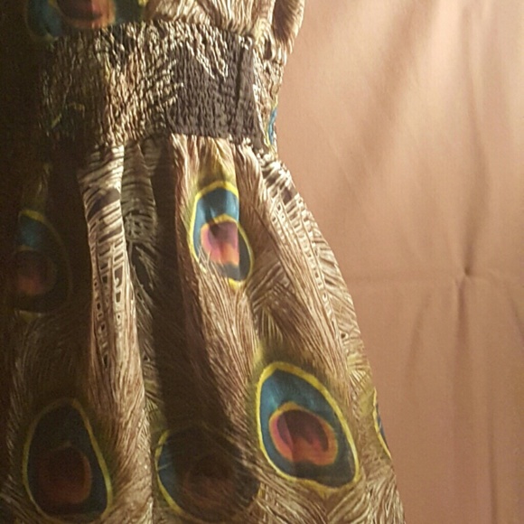 Peacock sheer with lining above knee dress - Picture 2 of 2