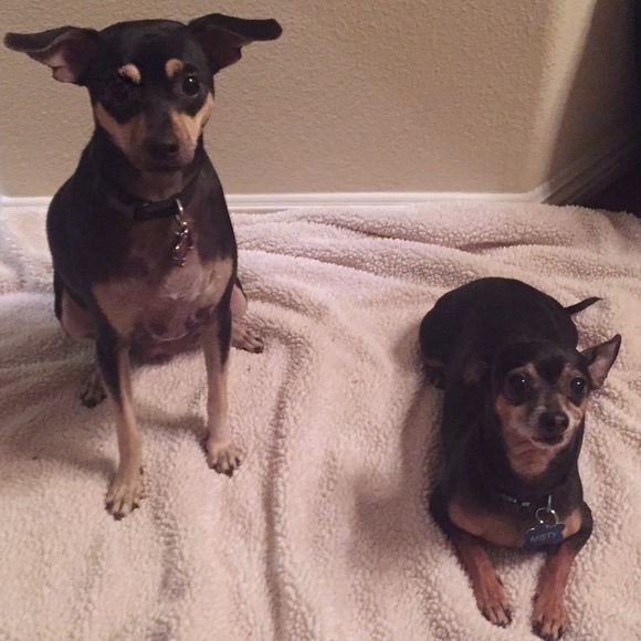 Meet the Posher, Cori! - Picture 2 of 2