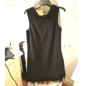 Ann Taylor Black Feather Dress