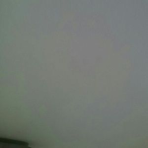 Meet your Posher, Vidalee