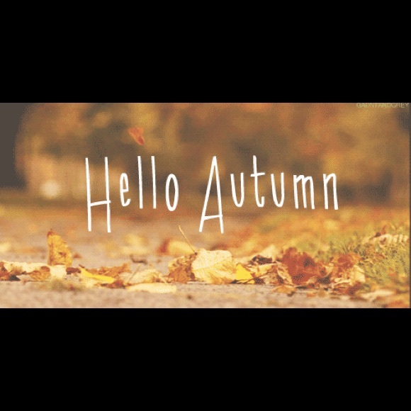 Meet your Posher, 🅢🅗🅐🅨