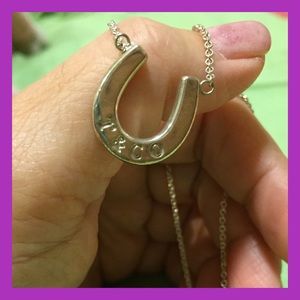 Horseshoe pendant necklace