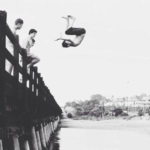 Meet your Posher, Brady