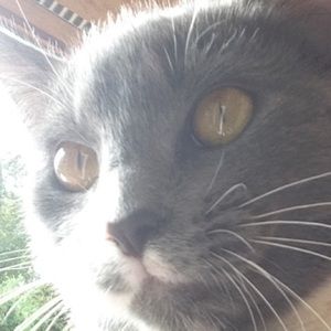 Meet your Posher, Savannah