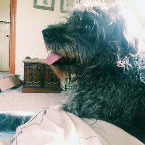 Meet your Posher, Miranda