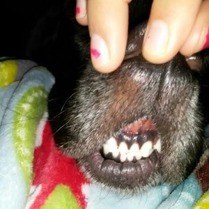 Meet your Posher, Logan