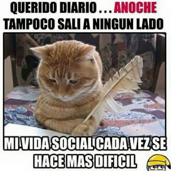 Meet your Posher, Geovanna