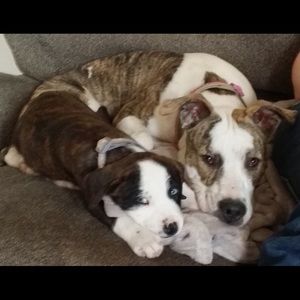 Meet your Posher, Terryn