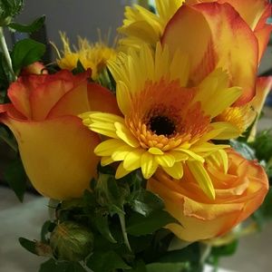 Meet your Posher, Leilani