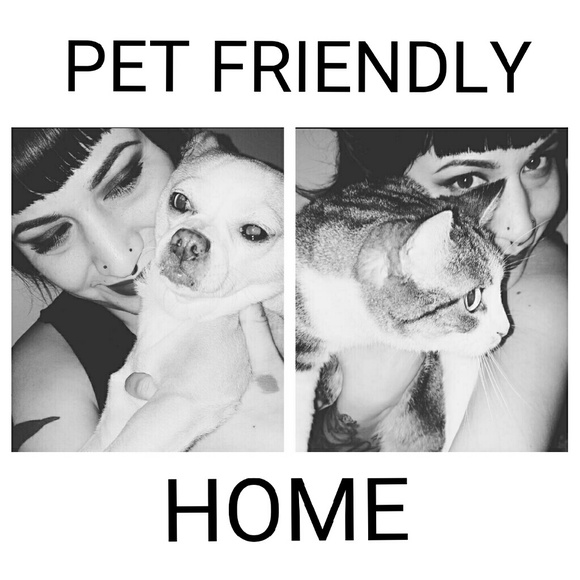 Meet Your Seller + Shop Policies - Picture 2 of 8