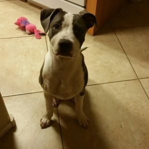 Meet your Posher, Jana