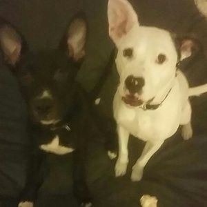 Meet your Posher, Katelyn