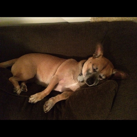 Meet your Posher, Heidi - Picture 1 of 1